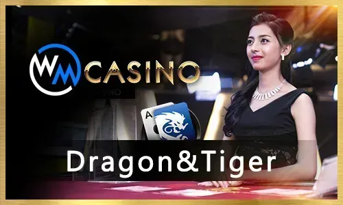 Live Casino Games on MNL777 App